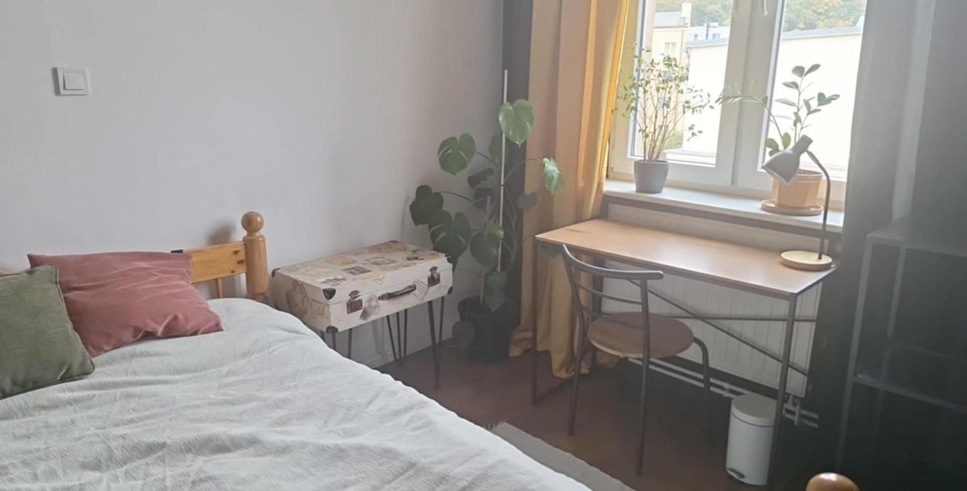 Privatunterkunft Vinyl *